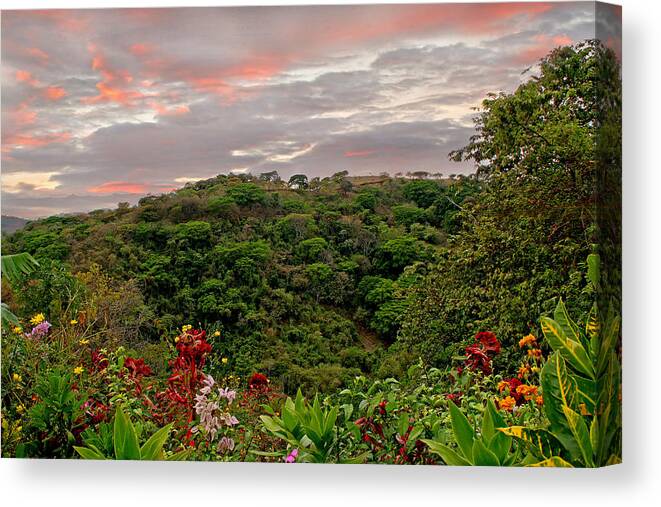Tropical Canvas Print featuring the photograph Tropical Sunset Landscape by Peggy Collins