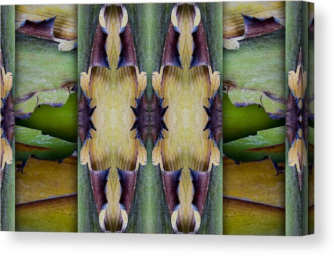 Tropical Canvas Print featuring the photograph Tropical Two by Carol Leigh