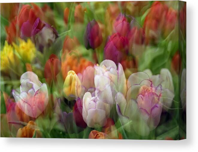 Penny Lisowski Canvas Print featuring the photograph Tulips by Penny Lisowski