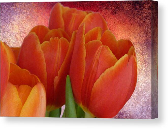 Tulips Canvas Print featuring the photograph Tulips with a Textured Background by Lynn Bolt