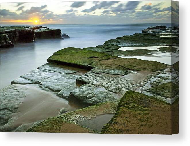 Dawn Canvas Print featuring the photograph Turimetta Beach Sunrise by Nicholas Blackwell