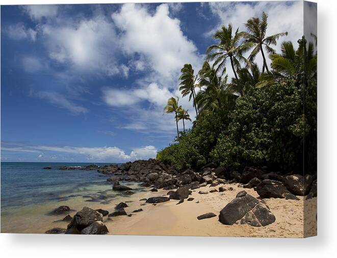 Turtle Cove Oahu Hawaii Tropics Seascape Palmtrees Ocean Sea Clouds Canvas Print featuring the photograph Turtle Cove by James Roemmling