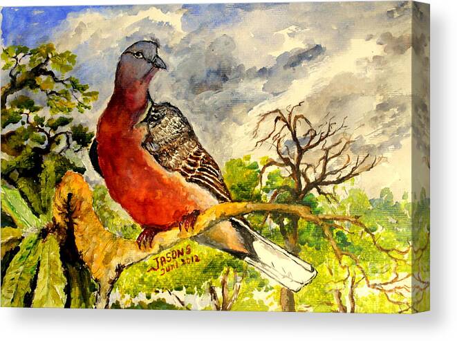 Bird Canvas Print featuring the painting Turtle - Dove by Jason Sentuf
