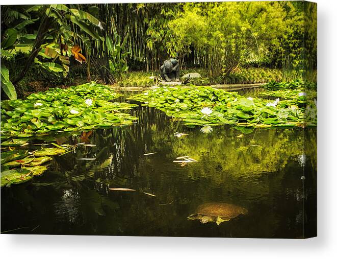 Lily Pond Canvas Print featuring the photograph Turtle in a Lily Pond by Belinda Greb