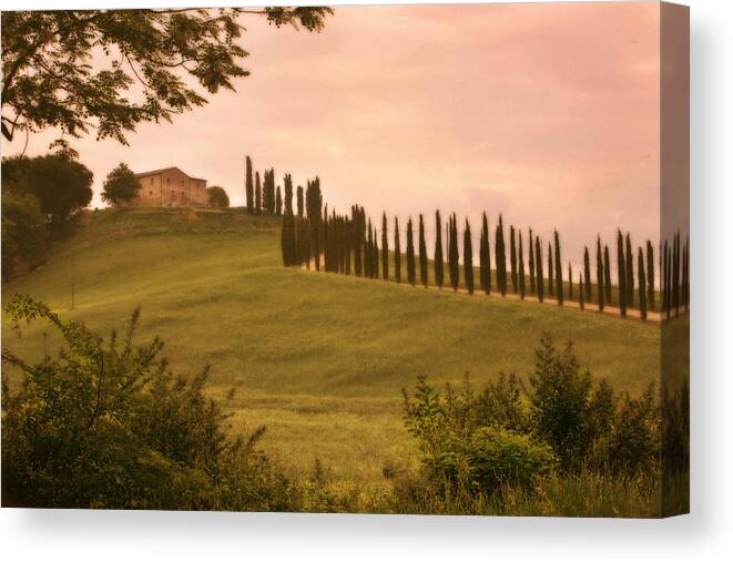 Tuscany Landscape Fine Art Photo Canvas Print featuring the photograph Tuscan Cypress Drive by Bob Coates