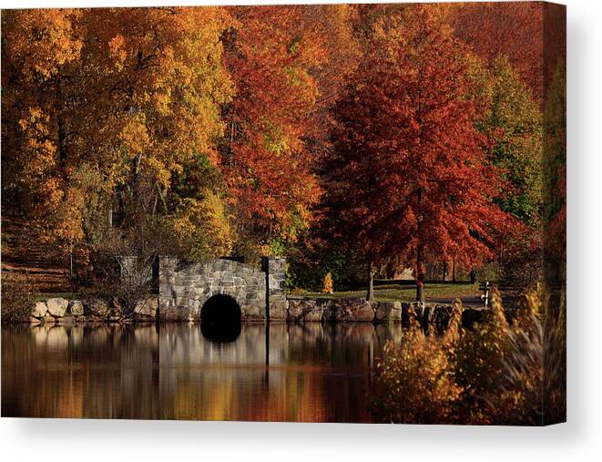 Autumn Canvas Print featuring the photograph Twin Brooks by Karol Livote