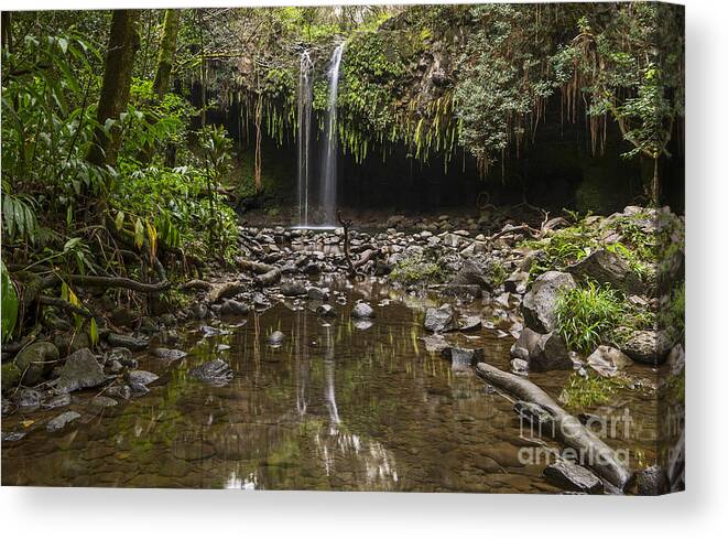 Twin Falls Canvas Print featuring the photograph Twin Falls Reflection - the beautiful falls along the Road to Hana in Maui by Jamie Pham