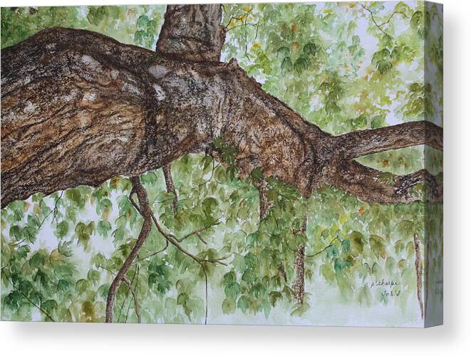 Nature Canvas Print featuring the painting Twisted Maple by Patsy Sharpe