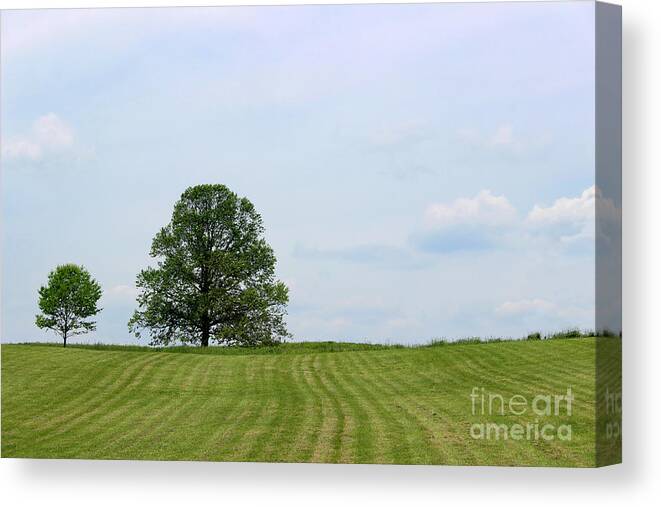 Trees Canvas Print featuring the photograph Two Trees by Karen Adams