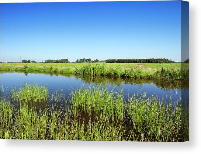 North Holland Canvas Print featuring the photograph Typical Dutch Polder Landscape On A by Sara winter