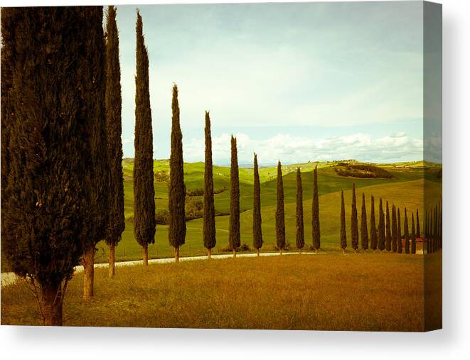 Agriculture Canvas Print featuring the photograph Typical Tuscany Countryside by Hans Slegers