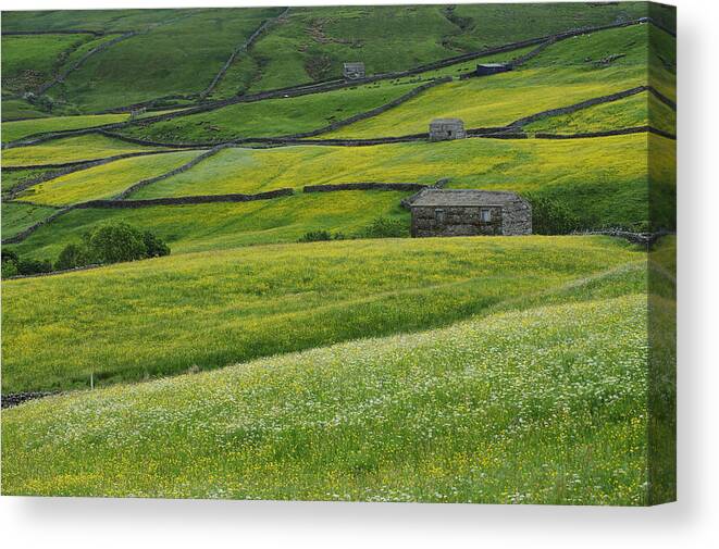 Day Canvas Print featuring the photograph Uk, England, Yorkshire, Yorkshire Dales by Tips Images