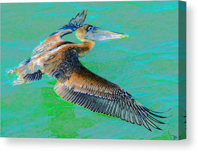 Low Flying Pelican Canvas Print featuring the painting Low Flying Pelican by David Lee Thompson