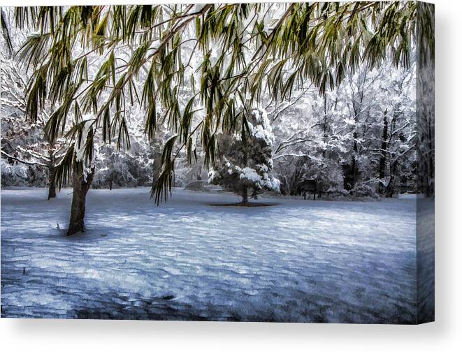 Snow Canvas Print featuring the photograph Under The Pines by Cathy Kovarik