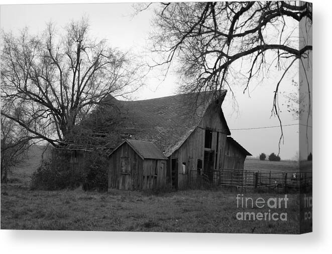 Black And White Canvas Print featuring the photograph Until the Cows Come Home by Crystal Nederman