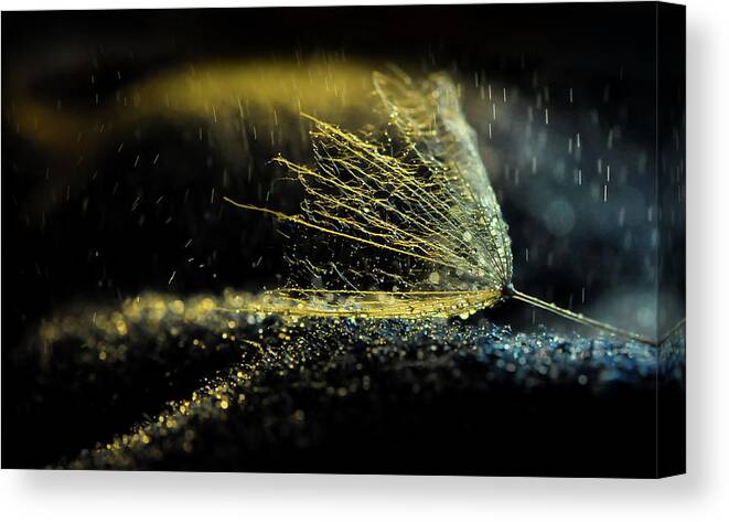 Macro Canvas Print featuring the photograph Untitled by Ivelina Blagoeva