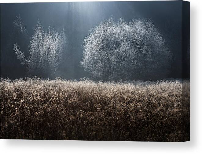 Landscape Canvas Print featuring the photograph Untitled by Kristjan Rems