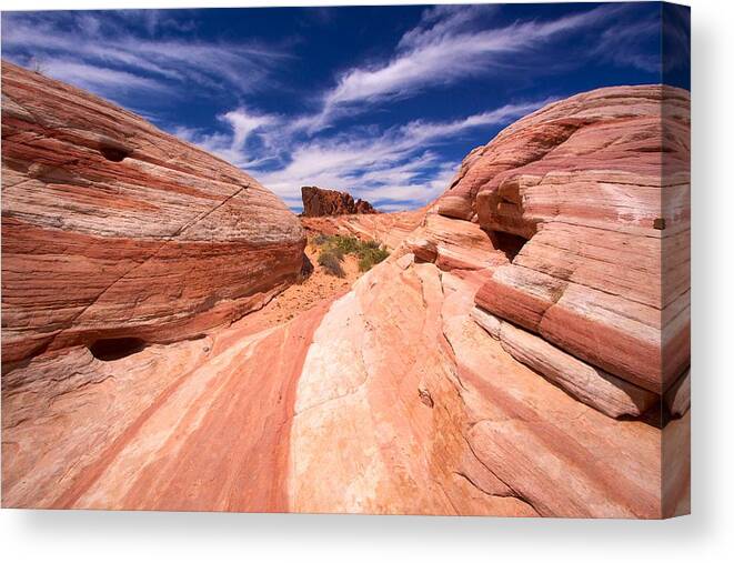 Valley Of Fire State Park Canvas Print featuring the photograph Valley of Fire 2 by David Beebe