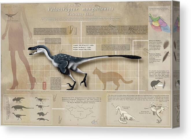 Velociraptor Canvas Print featuring the digital art Velociraptor Infographic by Christian Masnaghetti