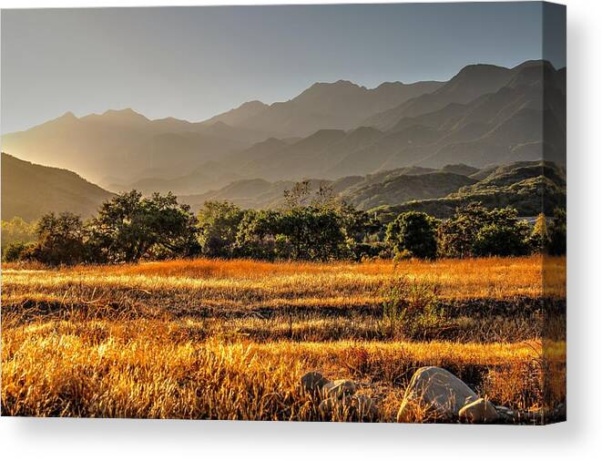River Canvas Print featuring the photograph Ventura River Preserve by Liz Vernand