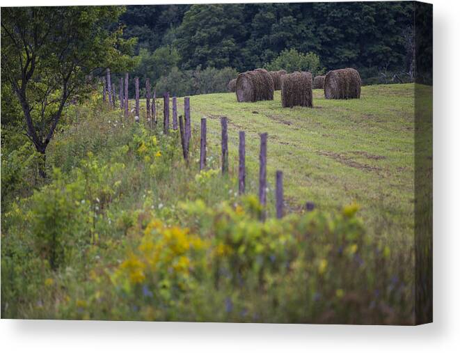 Vermont Canvas Print featuring the photograph Vermont fence with hay by John McGraw