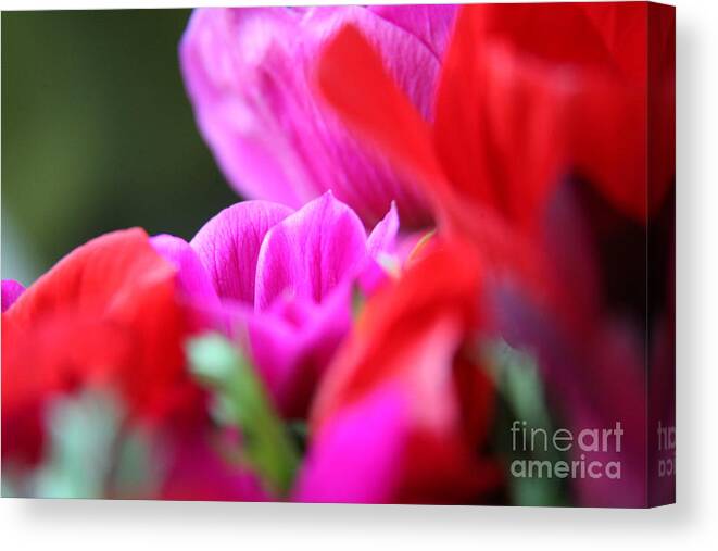 Flowers Canvas Print featuring the photograph Vibrant bouquet by Lynn England