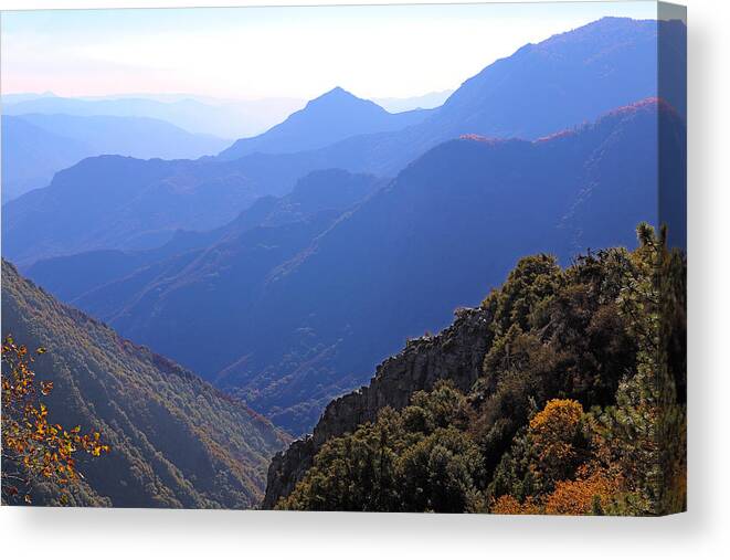 View From Moro Rock Canvas Print featuring the photograph View From Moro Rock by Viktor Savchenko