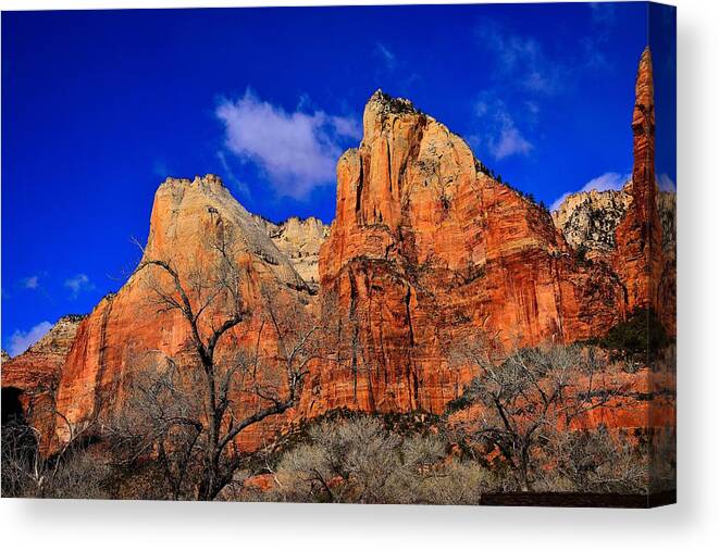 Zion National Park Canvas Print featuring the photograph View from The Grotto by Walt Sterneman