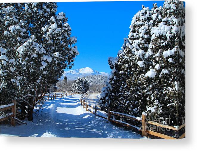 Winter Canvas Print featuring the photograph View of Pikes Peak with Fresh Snow at Garden of the Gods by JD Smith