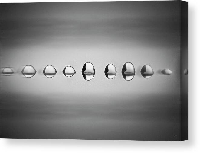 In A Row Canvas Print featuring the photograph View Of Water Drops by Janneo