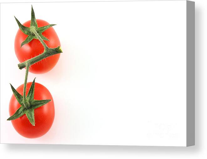 Red Canvas Print featuring the photograph Vine tomatoes on left edge copy space by Simon Bratt