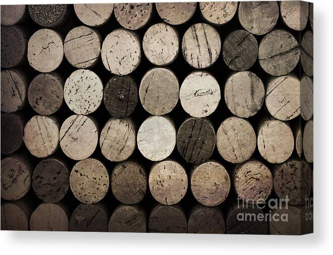 Alcohol Canvas Print featuring the photograph Vintage corks by Jane Rix