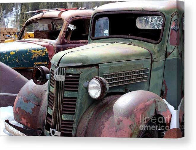 Vintage Trucks Canvas Print featuring the photograph Vintage by Fiona Kennard