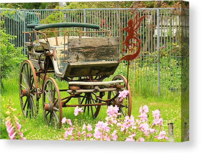 Aged Canvas Print featuring the photograph Vintage horse carriage in a flower bed by Amanda Mohler