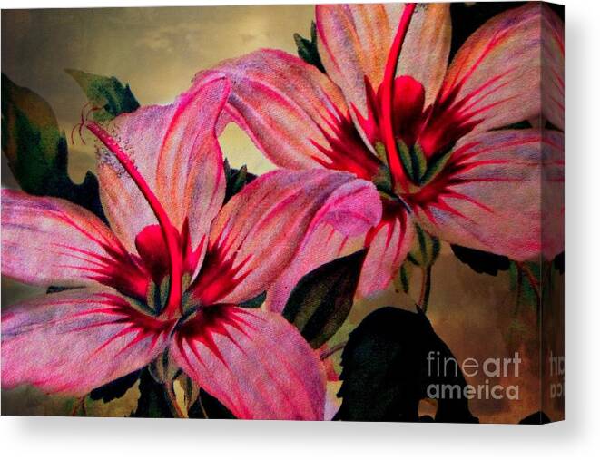 Lily Canvas Print featuring the photograph Vintage Painted Pink Lily by Judy Palkimas