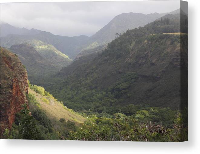 Lookout Canvas Print featuring the photograph Waimea Canyon by Dick Willis