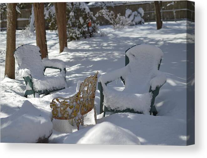  Winter Canvas Print featuring the photograph Waiting for Summer by Stacie Siemsen