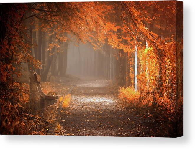 Tree Canvas Print featuring the photograph Waiting To Fall by Ildiko Neer