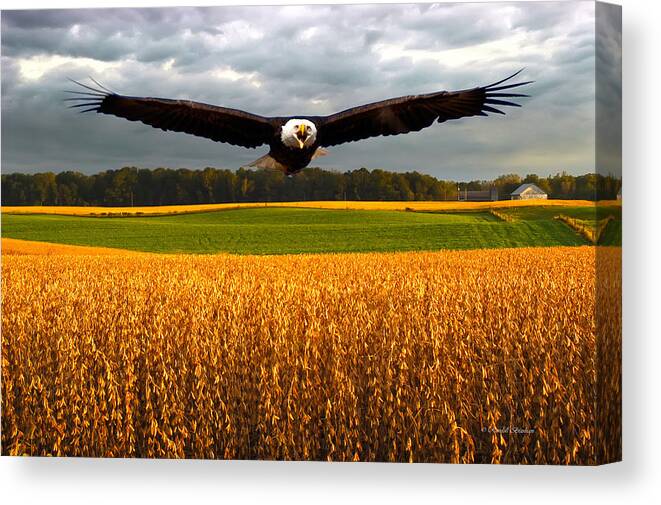 Eagle Canvas Print featuring the photograph America by Randall Branham