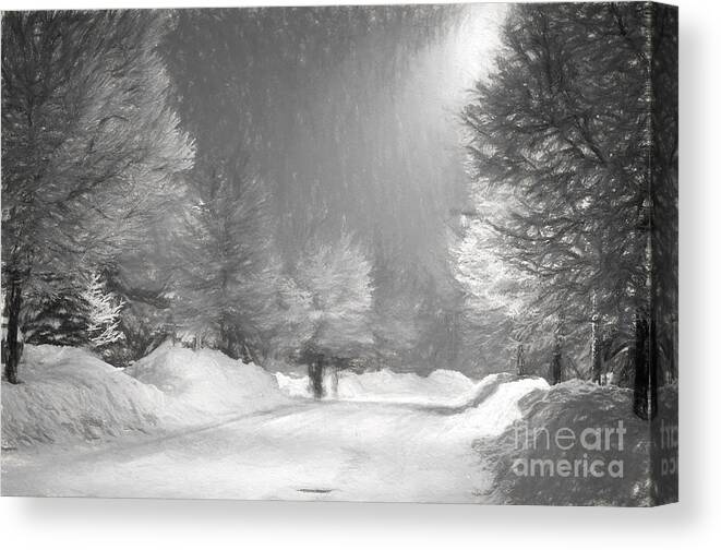 Winter Canvas Print featuring the photograph Winter Walk by Les Palenik
