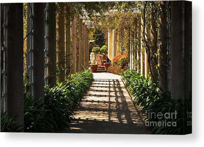  Lattice Canvas Print featuring the photograph Walkway by Debby Pueschel