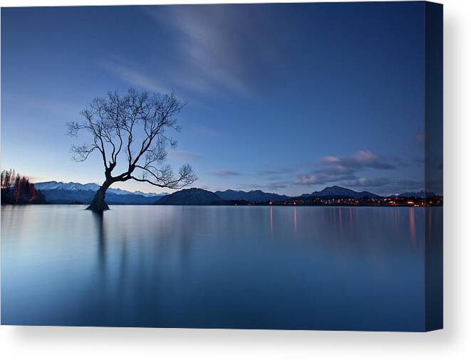 Tree Canvas Print featuring the photograph Wanaka Twilight by Yan Zhang
