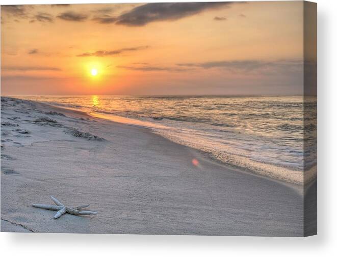 Orange Beach Canvas Print featuring the photograph Washed up on Orange Beach by JC Findley