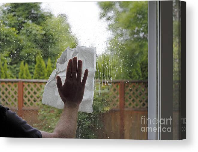 Cleaning Canvas Print featuring the photograph Washing a Window by Lee Serenethos