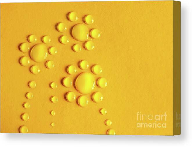 Abstract Canvas Print featuring the photograph Water Flowers by Carlos Caetano
