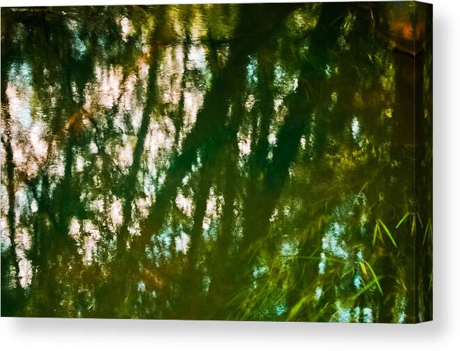 Abstract Canvas Print featuring the photograph Water Ghosts by Alexander Kunz