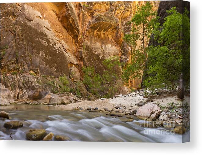 Zion Canvas Print featuring the photograph Water in the Narrows by Bryan Keil