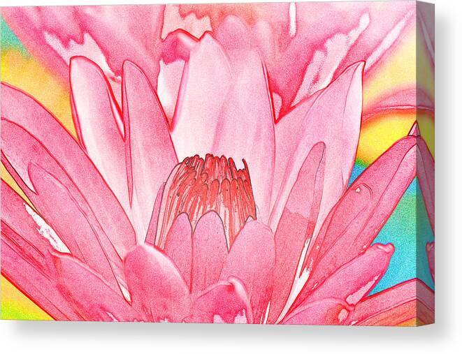 Nature Canvas Print featuring the photograph Water Lily by Michael Porchik