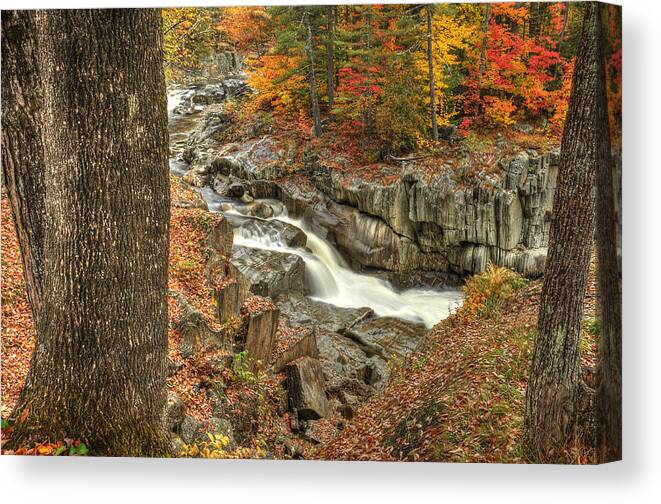 Photograph Canvas Print featuring the photograph Watercolor by Richard Gehlbach