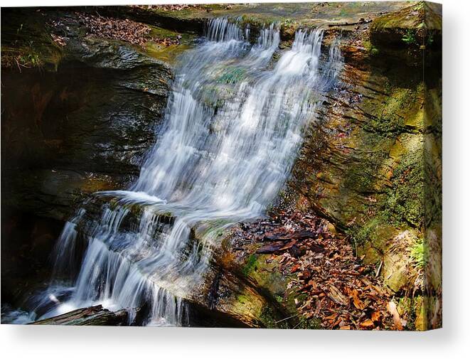 Waterfall Canvas Print featuring the photograph Waterfall by Mike Murdock